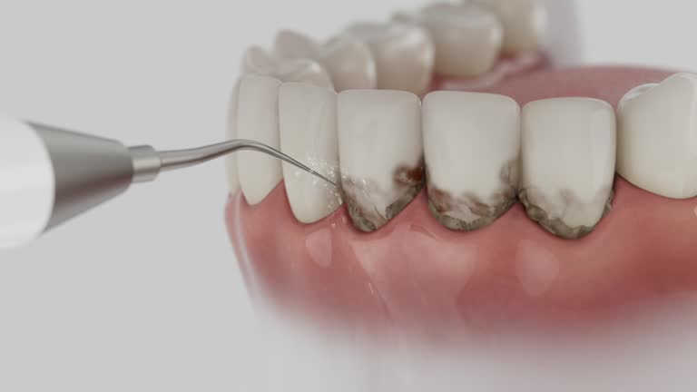 Reliable Dental contractor in Bull Run, VA by Dentist Open Now